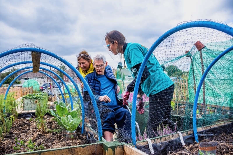 Charlton Road Allotments